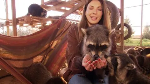 Jakimi zwierzętami są szopy?