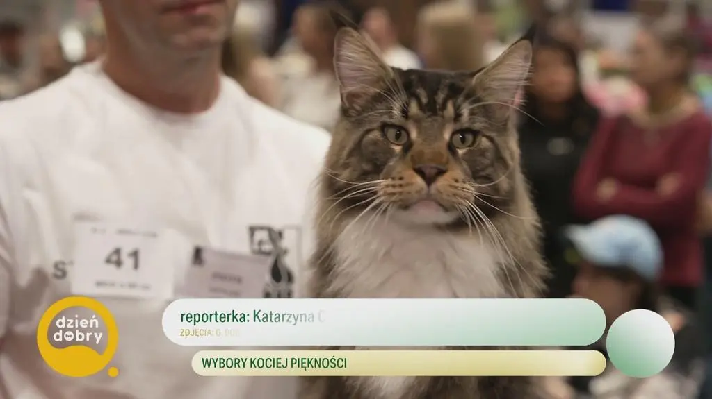 Klatka kluczowa-330636