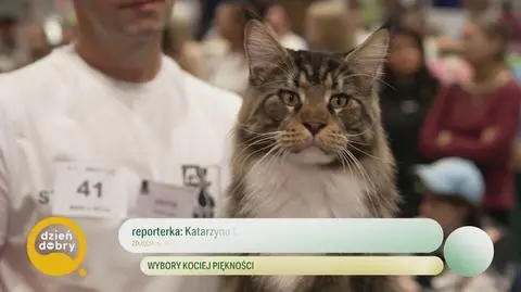 Klatka kluczowa-330636