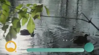 Natalia Nykiel o swojej pasji do kolarstwa - napisy