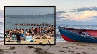 Bałtyk, plaża, łańcuch życia