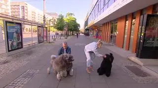 Poranek w królewskim towarzystwie 