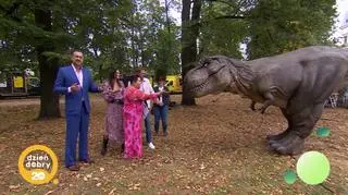 Świętujemy tak hucznie, że obudziliśmy dinozaury 