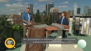 Jak ukryć się przed wścibskim sąsiadem? napisy