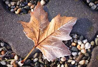 Pogoda na czwartek. Uwaga, będzie ślisko