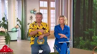 Odkryj leśne skarby 