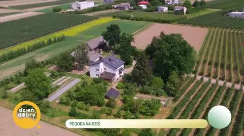 DD_0250520_Pszczoly_rep_napisy_ok