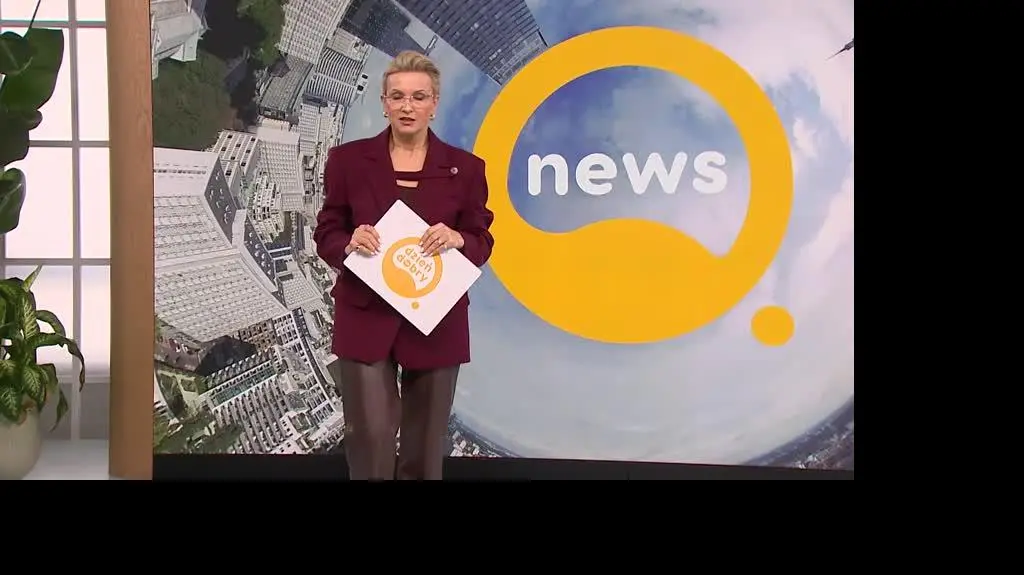 DD_20251101_Newsy