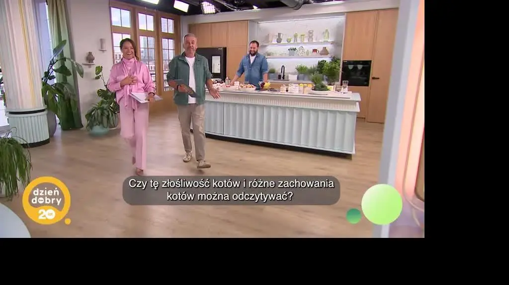 DD_20250923_Koty_napisy