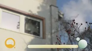 Niespodzianka urodzinowa dla Elżbiety Dzikowskiej - napisy