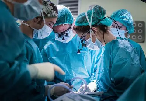 Kobieta otrzymała nerkę pochodzącą od świni. Czy takie przeszczepy staną się standardem?