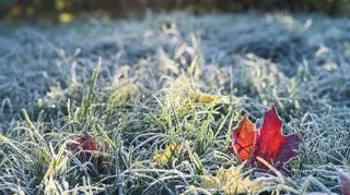Pogoda na środę. To już przedzimie