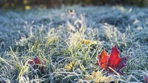 Pogoda na jutro. To już przedzimie