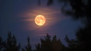 Horoskop tygodniowy. Nadchodząca pełnia może zmienić kolej rzeczy