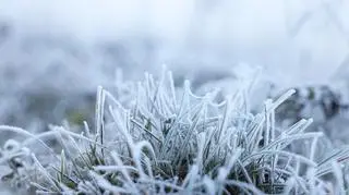 Pogoda na środę. W tych regionach może pojawić się deszcz ze śniegiem