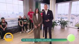 Kije, rękawice, bazy – baseball i jego tajniki 