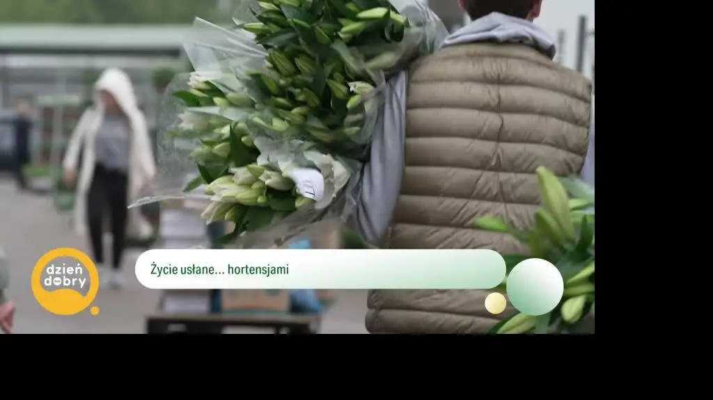 DD_20250609_Hortensje_rep