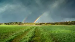 Pogoda na weekend. W niektórych regionach może zagrzmieć