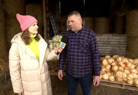 Kup kapustę, uratuj pana Marka