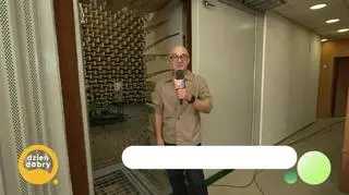 Jakie odgłosy wydają zestresowane rośliny?