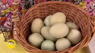 Czym się kierować przy wyborze jajek? 