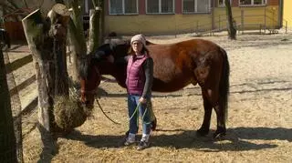 Koń, który został terapeutą 