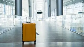 Niecodzienna przesyłka na lotnisku Chopina. Właścicielowi grozi surowa kara