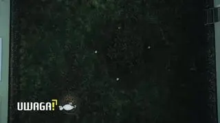 Uwaga! TVN: Wstrząsające nagrania z miejskiego żłobka