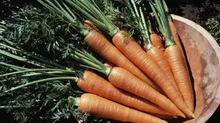 Dzień Marchewki - najlepsze przepisy kulinarne i kosmetyczne 