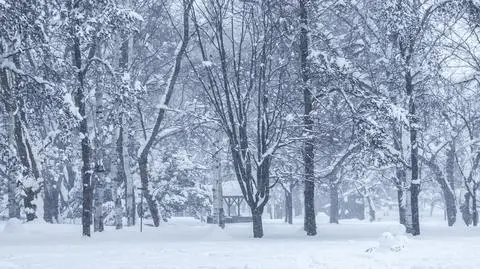 Zima