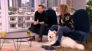Te psy lubią biegać 