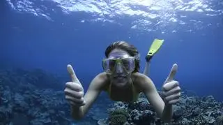 Snorkeling - obcowanie z podmorską fauną i florą dla każdego