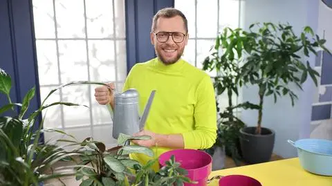 Jak przesadzać kwiaty? 