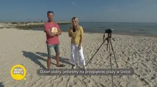 Polowanie na burzę - napisy