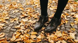 Damskie i męskie buty oxford - do czego je nosić? Które będą najlepsze?