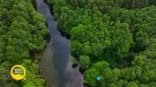 Pomysł na wakacje - Tomaszów Mazowiecki - plansza