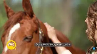 Zaklinaczka koni (napisy)