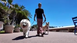 Palm Dog - prestiżowe nagrody za najlepsze psie role. "Messi dostał własny program telewizyjny"