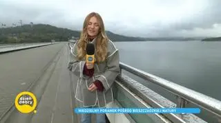 Niedzielny poranek pośród bieszczadzkiej natury 
