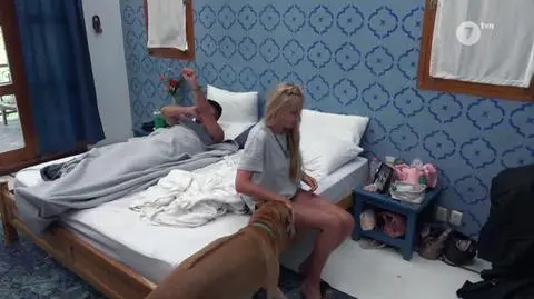 HP6_ODC39_TVN_DAWID_LEKTOR_2