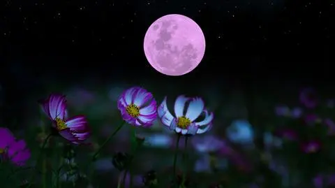 Horoskop dzienny na czwartek, 16 maja 2024 r. dla Baranów, Byków, Bliźniąt i Raków