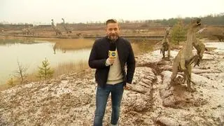 Dzień Dinozaura