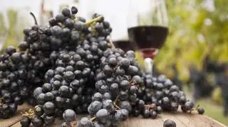 Jak zrobić wino z winogron? Najlepsze przepisy na domowy trunek