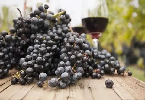 Jak zrobić wino z winogron? Najlepsze przepisy na domowy trunek