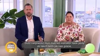 Egzamin za kierownicą - stres większy niż matura - napisy