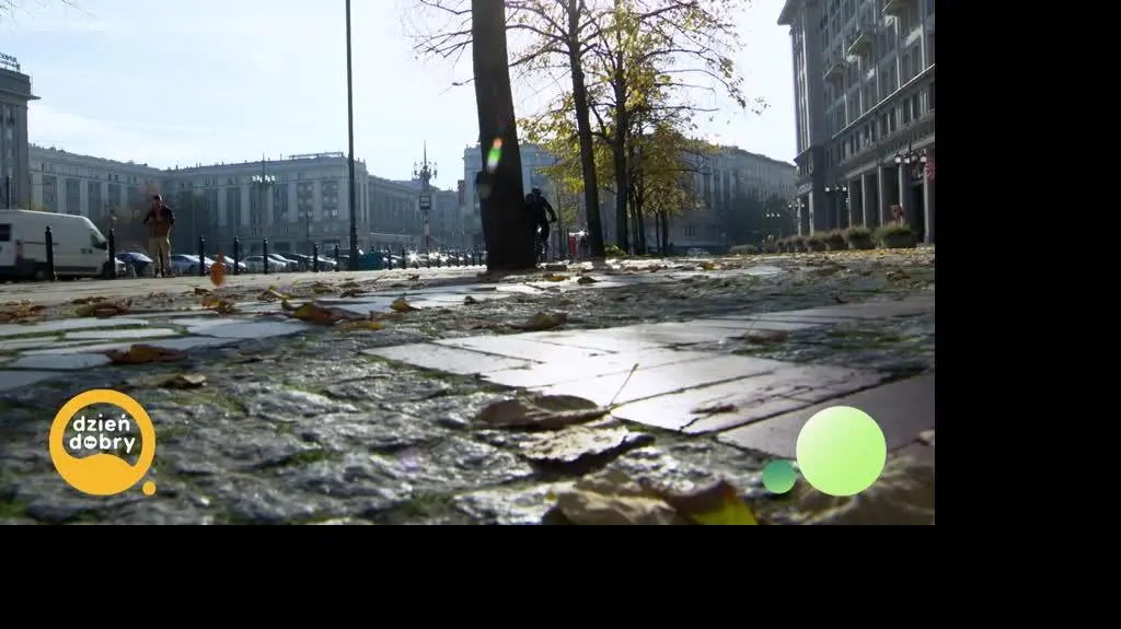 DD_20241114_Komplementy_rep_REP