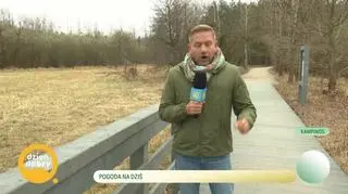 Pogoda - Bartek Jędrzejak w Kampinosie 