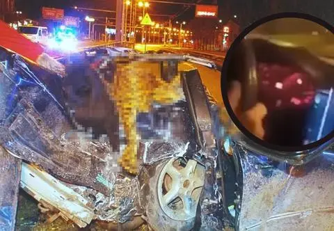 Ostatnie nagranie przed tragicznym wypadkiem nastolatków. Ich słowa są zatrważające 