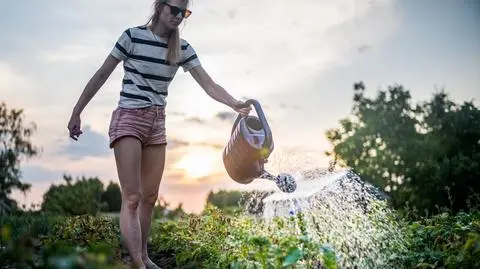 Susza hydrologiczna w Polsce. Władze apelują do mieszkańców. "Betonoza stała się popularna"