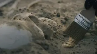 Odkryto groby młodych kobiet i dzieci. "Znaleźliśmy całe szkielety"